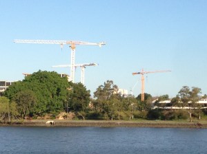 cranes