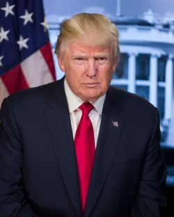 donald_trump_official_portrait
